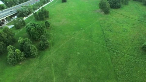 Flying in the field over the green grass and trees. Aerial view. Stock Footage 75639665