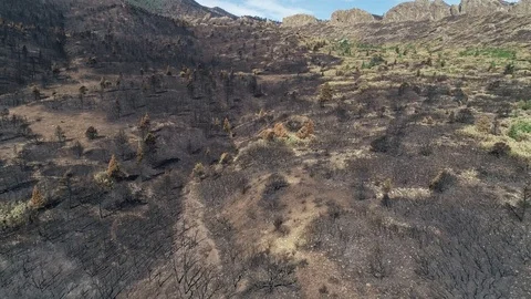 Flying up the fire fields Stock Footage 92560994