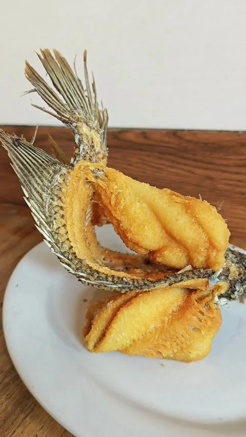 Flying fish dish Video stock 334939846