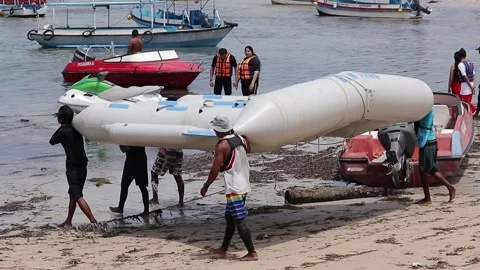 Flying Fish Game 動画素材 211108321