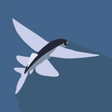 Flying fish Illustrazione stock