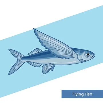Flying Fish PS100 100701 Ilustración de archivo