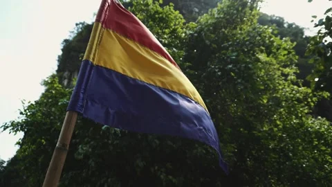 Flying flag in Vietnam Stock Footage 132161579