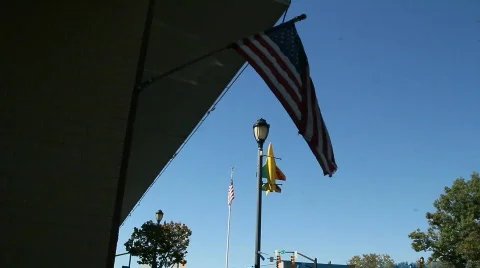 Flying flags and a jet 動画素材 872310