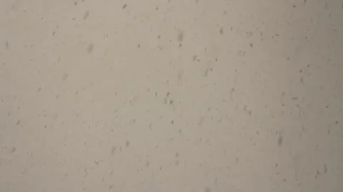 Flying flakes of snow from the sky Stock Footage 152845712