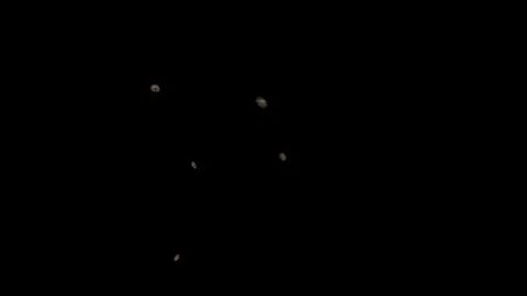 Flying Flies with alpha channel. 스톡 동영상 117606721