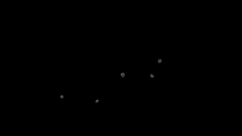 Flying Flies with alpha channel. 스톡 동영상 117639161