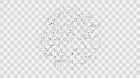 Flying Flies in  Circle Shape Stock Footage 254152190