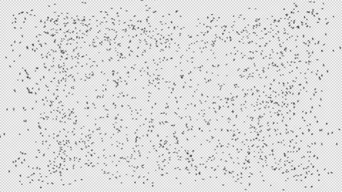 Flying Flies in Rectangle Shape Stock Footage 254152254