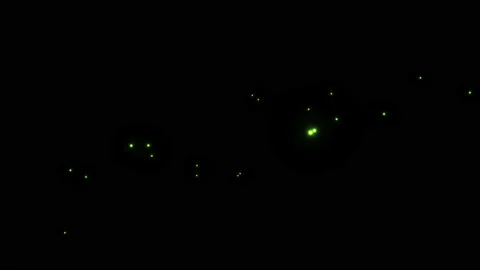 Flying Floating Fireflies Row Fairies Pixies 库存影片 143172300