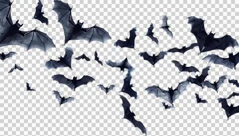 Flying flock of black bats, transparent background, halloween concept Stock Photos