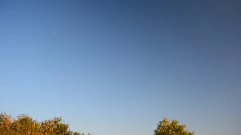 Flying Flock Of Pigeons Shot From A Low Angle. Video stock 97157348
