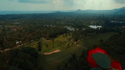 Flying flower. Golf course. Samui. Thailand. Stock Footage 69186456