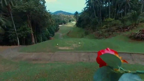 Flying flower. Golf road. Samui. Thailand. Video stock 69186740