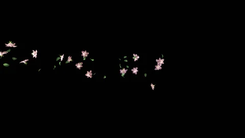 Flying Flowers background Stock Footage 100644378