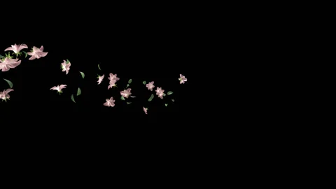 Flying Flowers background Stock Footage 100644385