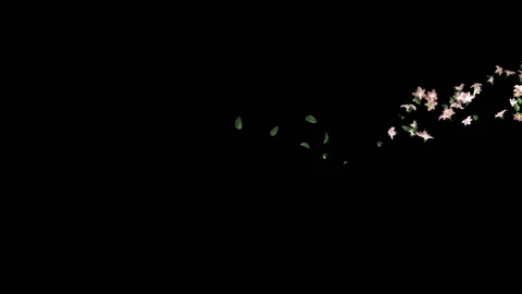 Flying Flowers background Stock Footage 100644397