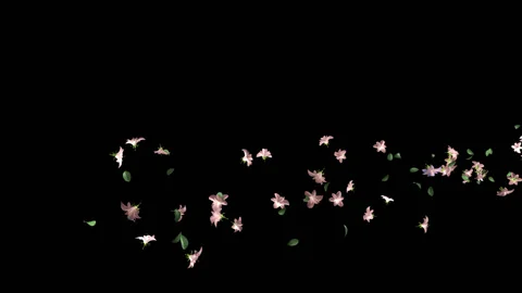 Flying Flowers background Stock Footage 100644413