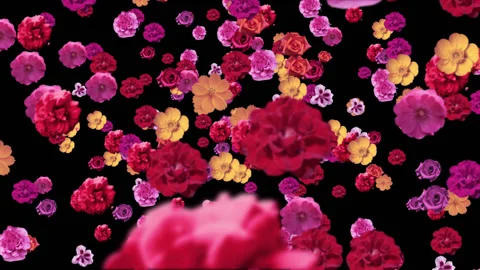 Flying flowers Видео 91383925