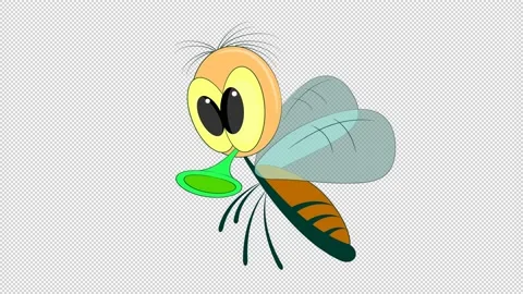 Flying fly on a empty background. Stock Footage 148772793