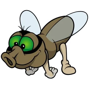 Flying Fly Stock Illustration