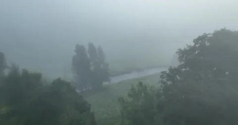 Flying in the fog Stock Footage 219934697