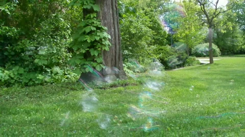 Flying Stock Footage 449036