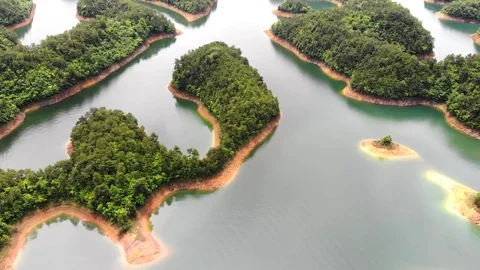 Flying Stock Footage 89811901