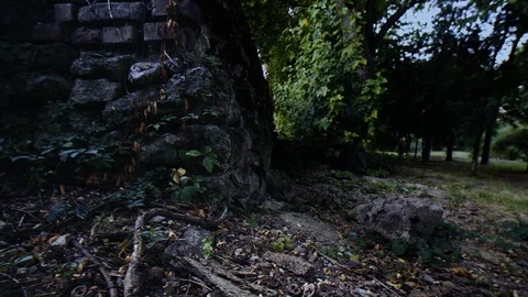 Flying in the forest above the ground Video stock 86249108