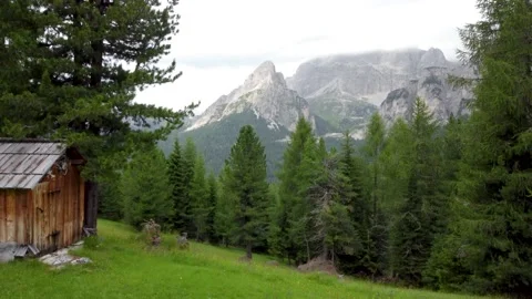 Flying up in a forest in the Dolomite Mountains Stock Footage 159531184