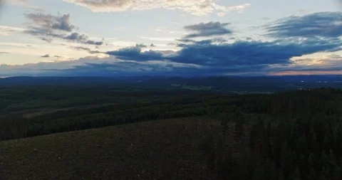 Flying in forest Stock Footage 108568502