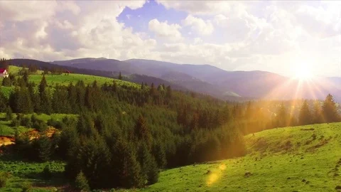 Flying from the forest over mountains, hills and meadows with pine forests Stock Footage