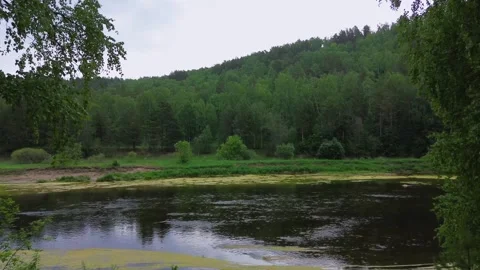 Flying from the forest over the river Mountains around Stock Footage 246581275