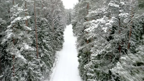 Flying forward above the snowy forest road Stock Footage 170146202