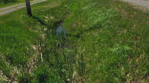 Flying forward with a drone just above a ditch covered of high grass Stock Footage 164934601
