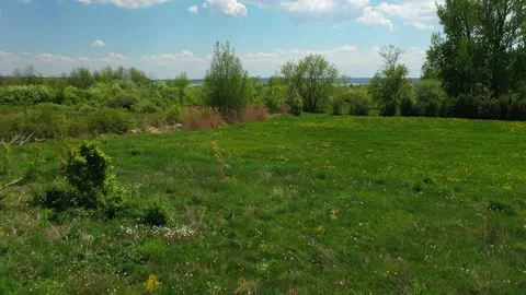 Flying forward mid-air above the grass with yellow wild flowers, white clouds Stock-Footage 164916705