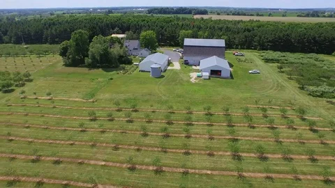 Flying forward to orchard barn Stock-Footage 90257111