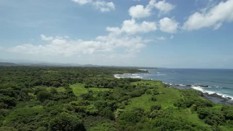 Flying Forward Over Lush Green Land by the Beach Coast Stock Footage 217406399