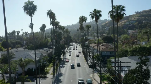 Flying forward over palm tree lined Hollywood Blvd. Stock Footage 107615953