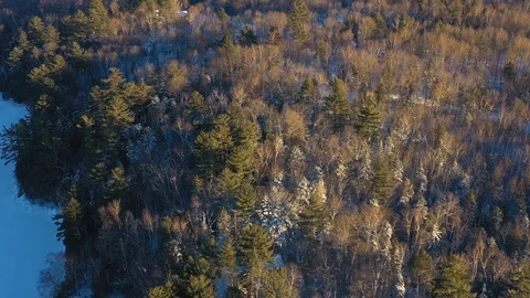 Flying forward over a winter forest just before sunset in northern Maine Vídeo Stock 103345877