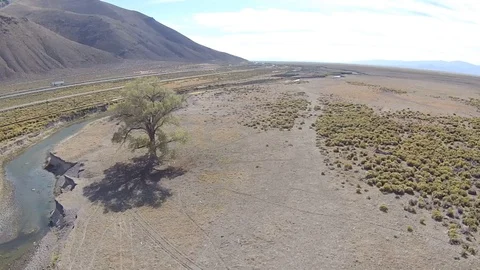Flying forward slowly high over vineyards stretching into the distance. Stock Footage 90565233