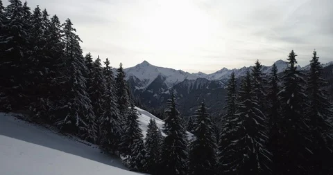 Flying forward through trees to amazing view over snowy mountains Stock Footage 102449702