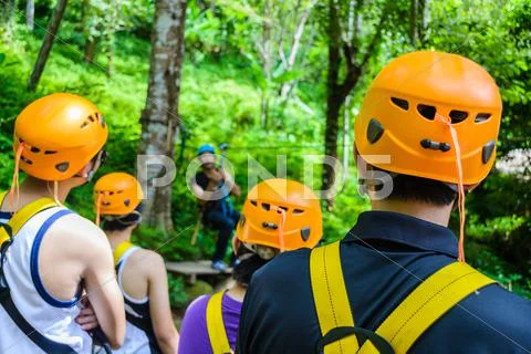 Flying fox activity Stock Photos