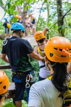 Flying fox activity Stock Photos