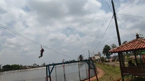 Flying fox Video stock 222440769