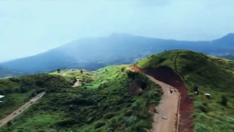 Flying Fox Stock Footage 242113099