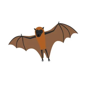 Flying Fox vector illustration for children Stock Illustration
