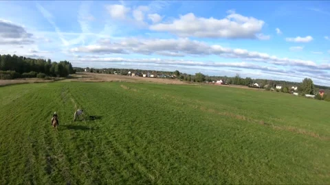 Flying on an fpv drone behind a horse, a girl on a horse Stock Footage 166830854