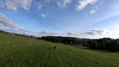 Flying on an fpv drone behind a horse, a girl on a horse Stock Footage 166832047