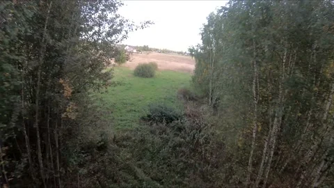 Flying on an fpv drone in a green field, against the background of a forest Stock Footage 166835786